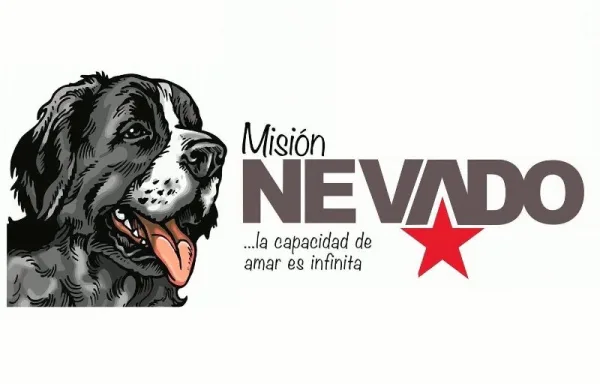 «Los Animales También Sienten»: Misión Nevado llevó conciencia y empatía a la comunidad de Orocollal.