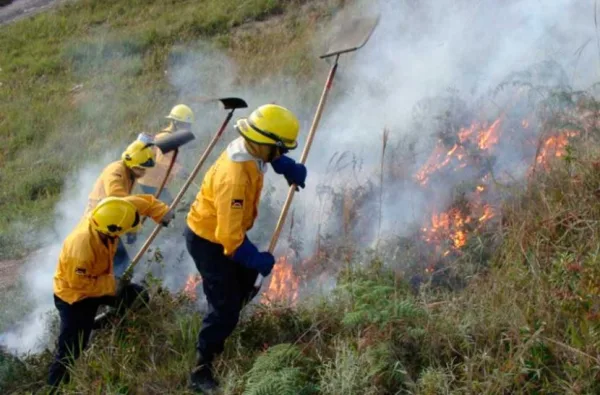 Cero tregua al fuego: Controlan incendios forestales en el Waraira Repano y Carabobo.