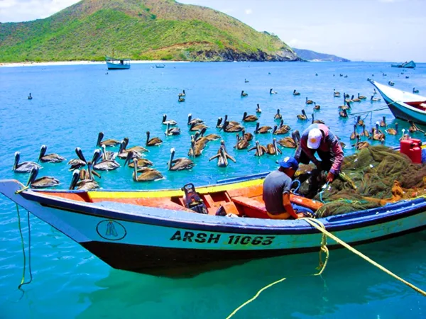¡Héroes del anzuelo! Venezuela celebra el Día del Pescador Artesanal.