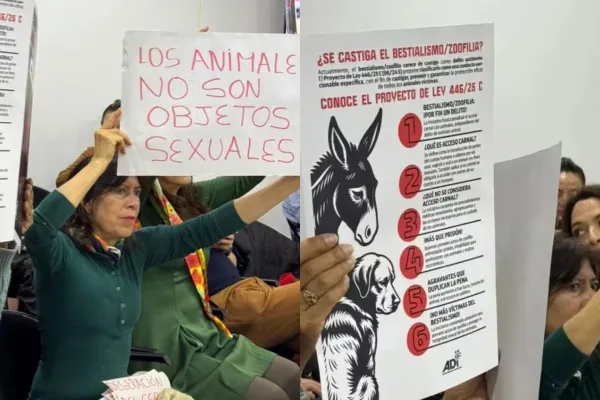 A un paso de la ley: Colombia penalizará la zoofilia con hasta 4 años de cárcel.