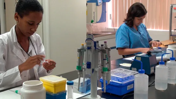 Esperanza contra el cáncer: Científicos cubanos desarrollan 'HEBERSaVax', una prometedora vacuna terapéutica de baja toxicidad.
