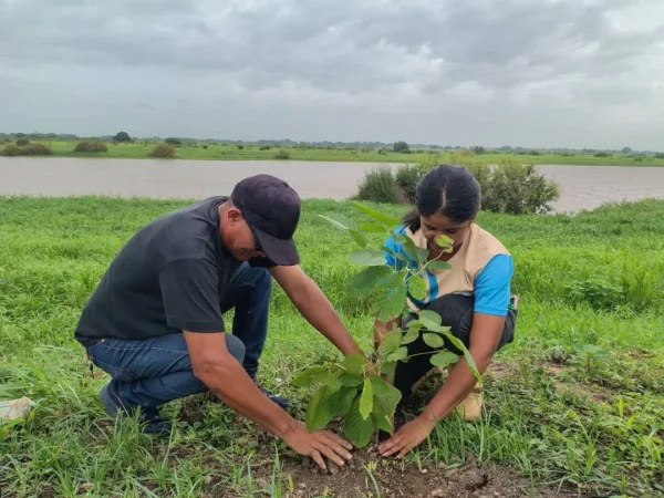Ecosocialismo en marcha: Conozca los alcances del Plan Nacional de Reforestación Chuquisaca para sembrar 10 millones de árboles.