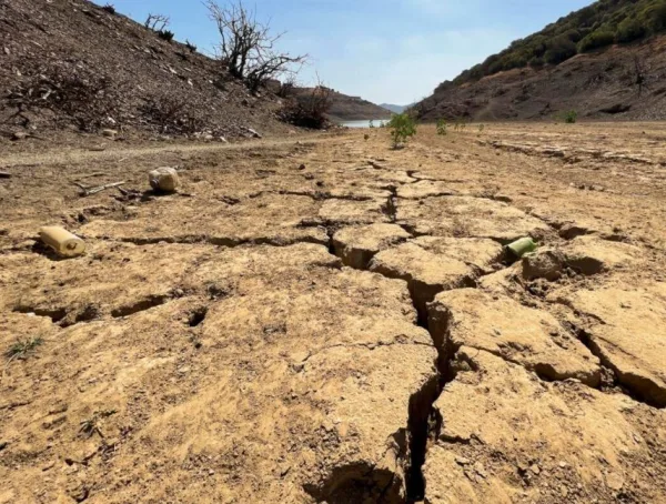 Alerta por «Superniño» histórico: Advierten sobre olas de calor a fines de agosto y severa sequía en Venezuela.