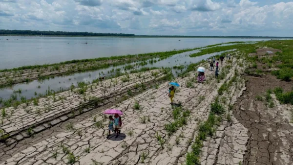 Ciencia y clima: Expertos advierten que el impacto global de «El Niño» varía según la franja tropical y factores locales.