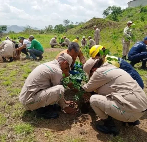 Compromiso ambiental: Plan Nacional Chuquisaca impulsa jornada de reforestación en el Monumento Natural Juan Germán Roscio.